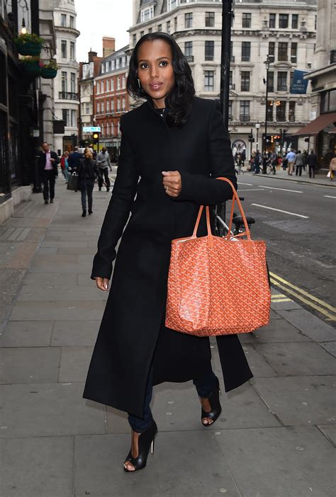 celebrities with goyard bags.